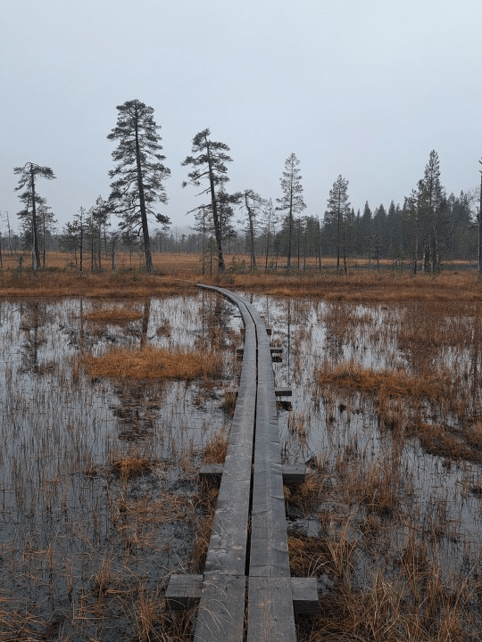 Yksinvaellus Sallassa lokakuussa