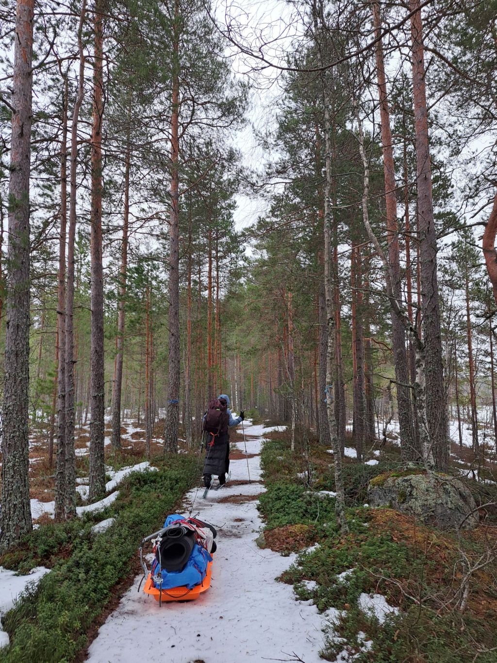 Ahkioretki Seitsemisen kansallispuistoon tammikuussa